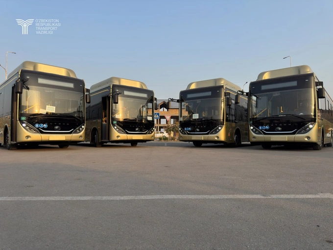 avtobus, elektrobus, sirdaryo, xorazm