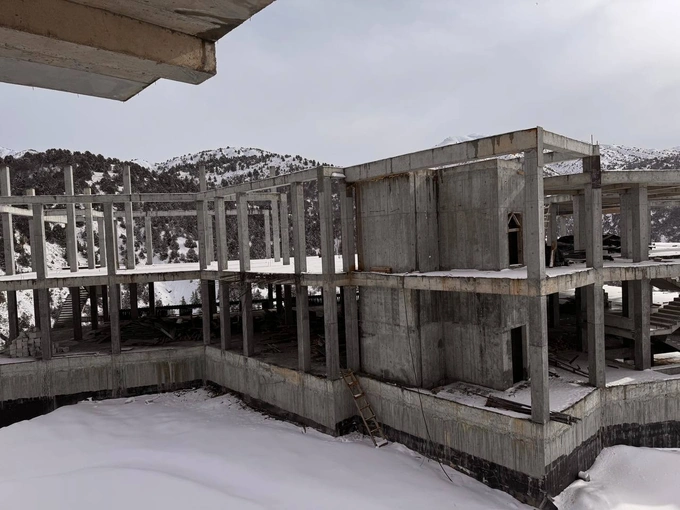 амирсой, аукцион, чимган