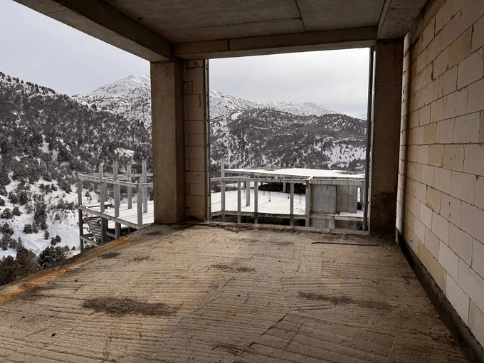 амирсой, аукцион, чимган