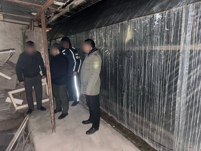 минэкологии, ташкентская область, теплицы