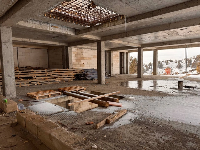 амирсой, аукцион, чимган