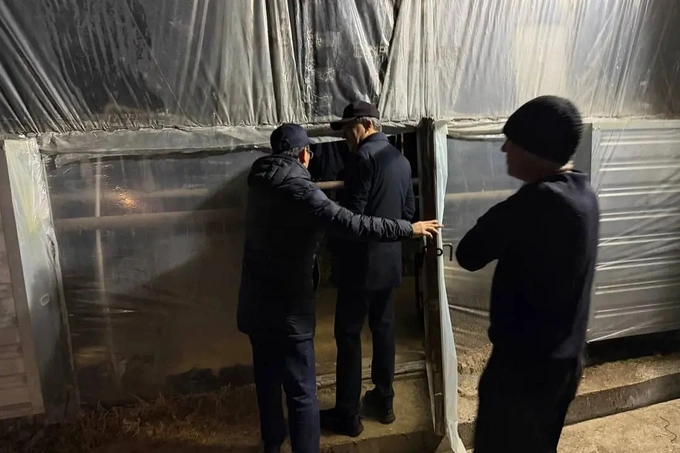 В Ташкенте и области начались новые экологические рейды по теплицам