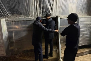 В Ташкенте и области начались новые экологические рейды по теплицам