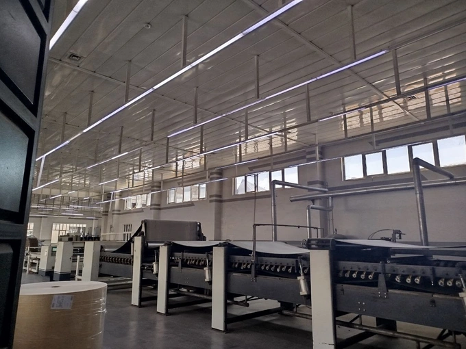 аукцион, бумага, коканд