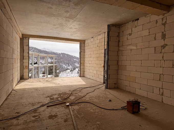 амирсой, аукцион, чимган