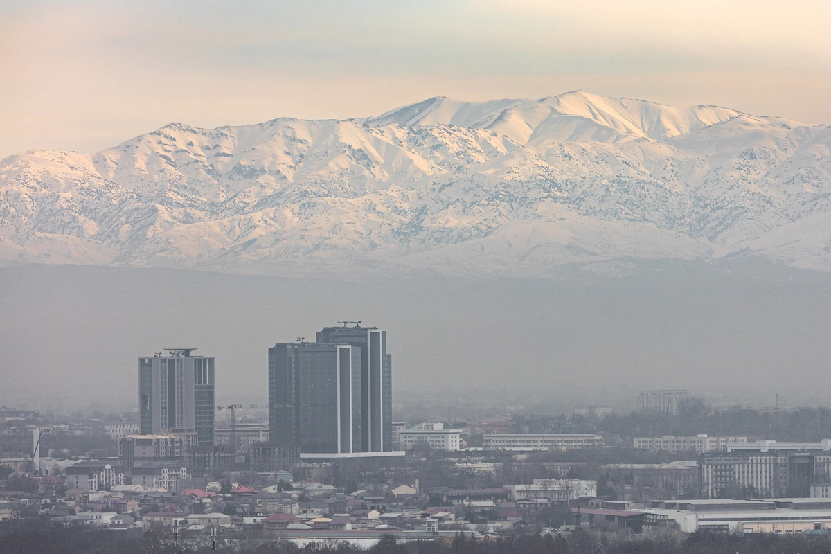 Главное за неделю: запрет вейпов, отмена «зарплатного рабства» и такси от Wildberries