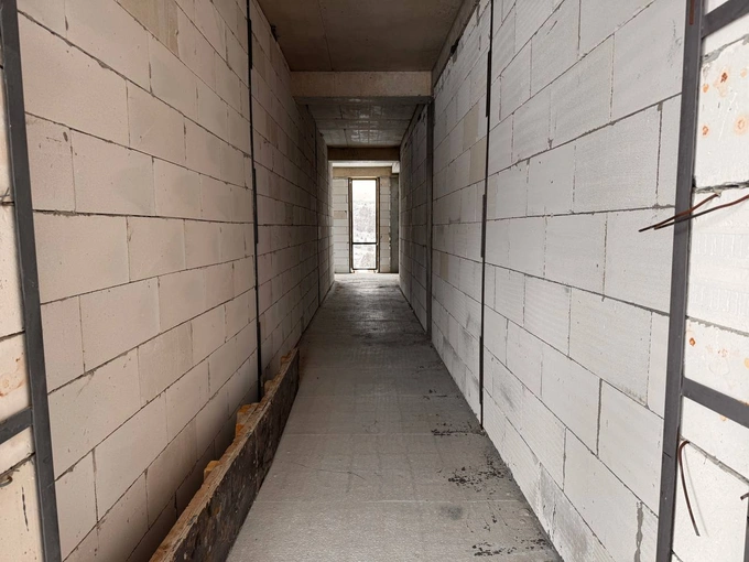 амирсой, аукцион, чимган