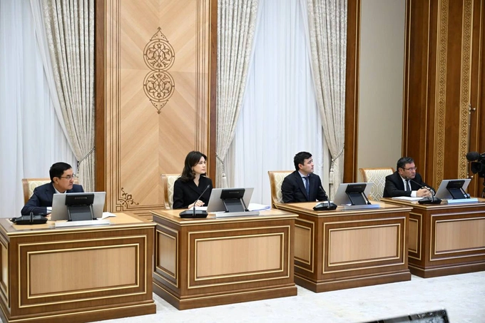 газ, шавкат мирзиеев, электроэнергия