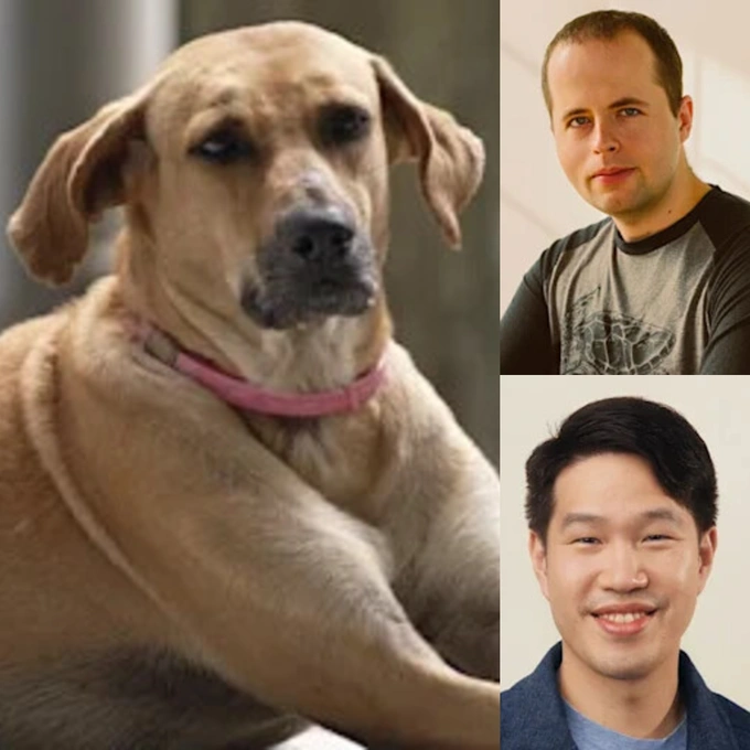 chatgpt, images, openai