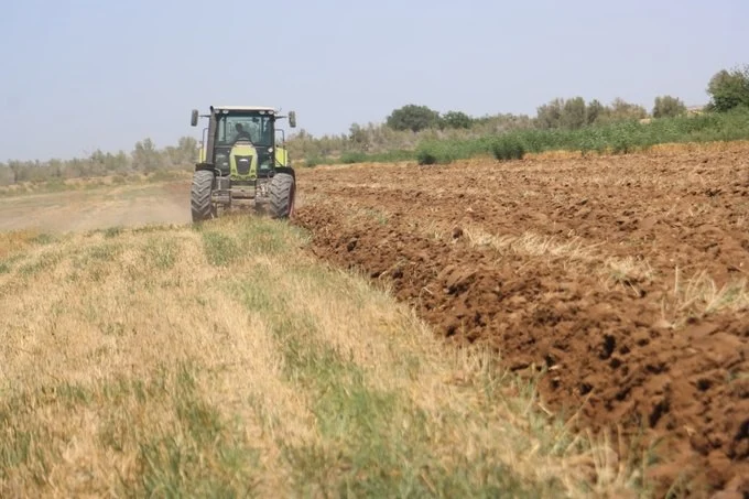 главное за неделю