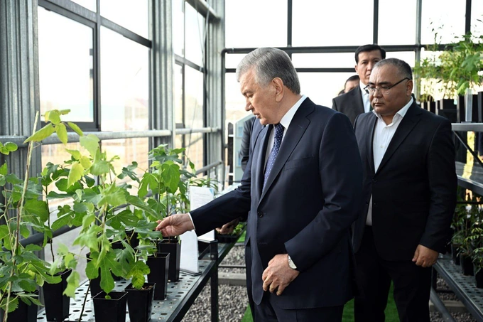 agromarkaz, jizzax, prezident, qishloq xo'jaligi, sharof rashidov, shavkat mirziyoyev