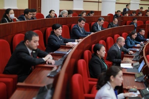 Deputatlar mulk huquqlarini e‘tirof etishni soddalashtiruvchi qonun loyihasini birinchi o‘qishda qabul qildi