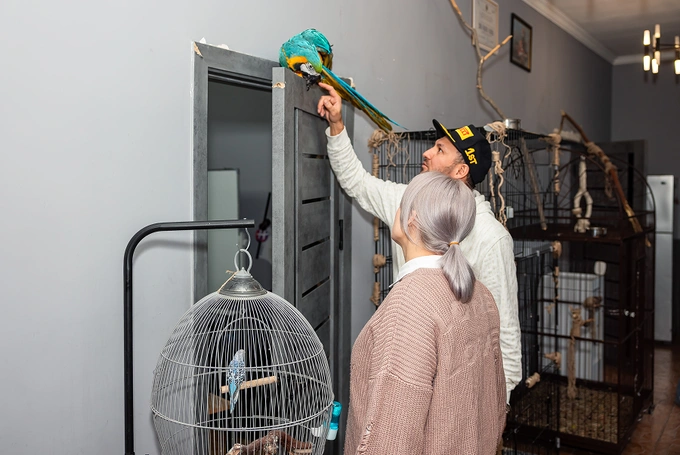 like-taxi, реклама