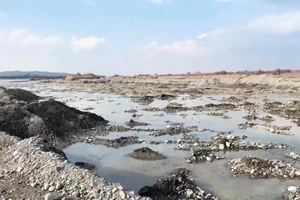 Samarqandda noqonuniy qum-shag‘al qazib olinishi oqibatida tabiatga 422 mlrd so‘m zarar yetkazildi