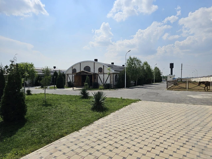 аукцион, животноводство, кварц, кони, ферганская область