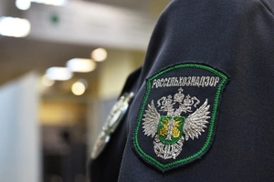 Экспортеры пожаловались на нетарифные барьеры при поставках продуктов в Россию