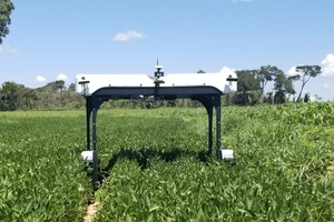 Xitoy qishloq xo‘jaligida birinchi agro sun’iy intellekt tarmog‘ini ishga tushirdi