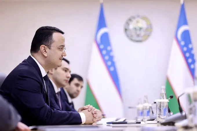 daraxt, ekologiya qo'mitasi, investitsiyalar sanoat va savdo vazirligi, mehmonxona, moratoriy, qonun buzilishi, qurilish, ritz-carlton