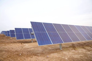 Китайская компания попросила выделить 400 га для проекта «зеленой» энергетики