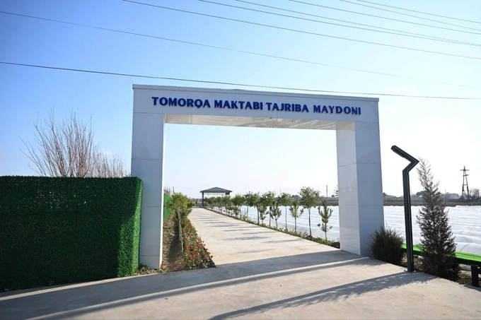 prezident, shavkat mirziyoyev, sitrus mevalar, surxondaryo, termiz, tomorqa, tropik mevalar