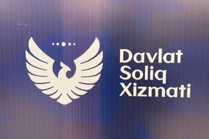 Законопроект о приостановке счетов бизнеса при налоговых спорах направлен в Сенат