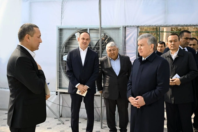 prezident, shavkat mirziyoyev, sitrus mevalar, surxondaryo, termiz, tomorqa, tropik mevalar