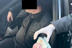 Pop o‘rmon xo‘jaligida 2,8 mlrd so‘mlik zarar va $25 minglik korrupsiya holatlari aniqlandi