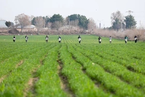 В Сырдарье создадут 12 тыс. га прибыльных сельхозугодий для передачи как готовый бизнес