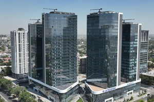 Ужесточаются требования к инвесторам и фаундерам компаний для выдачи IT Visa