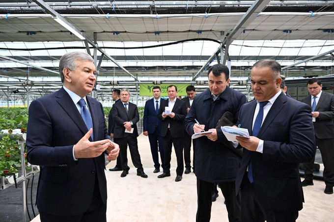 hyundai rotem, issiqxona, narpay, prezident, qulupnay, samarqand, shavkat mirziyoyev