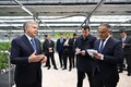 hyundai rotem, issiqxona, narpay, prezident, qulupnay, samarqand, shavkat mirziyoyev