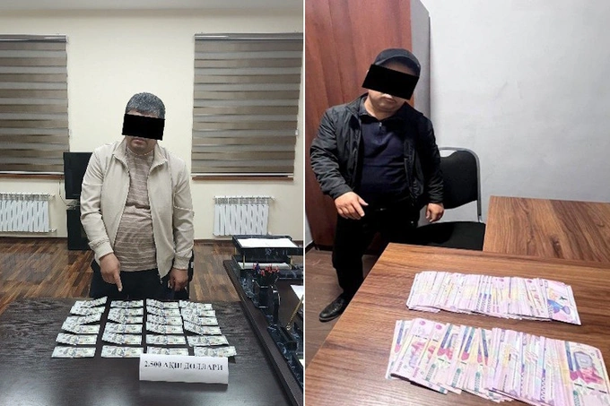 В Самаркандской области задержали кадастрового специалиста за взятку в $2500