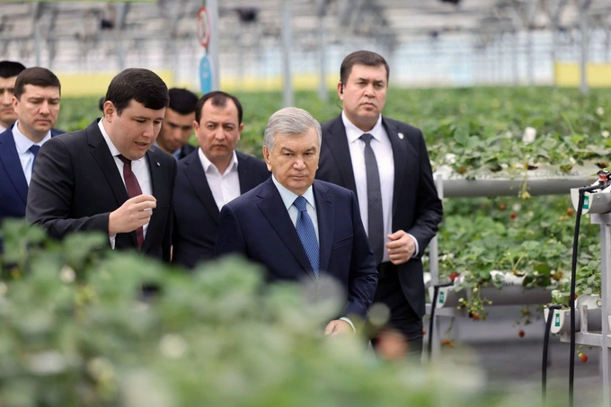 hyundai rotem, issiqxona, narpay, prezident, qulupnay, samarqand, shavkat mirziyoyev