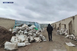 Navoiyda 13 mlrd so‘mdan ortiq oltinni qazib olganlar ushlandi