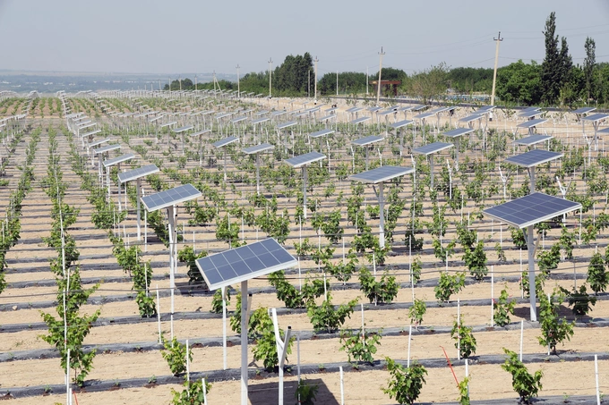 agrovoltaika, farg'ona, prezident, qishloq xo‘jaligi, quva, shavkat mirziyoyev