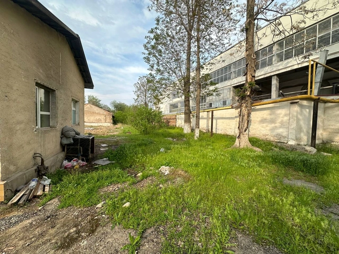 ауга, аукцион, ташкент, яшнабадский район