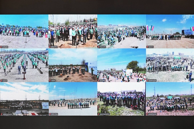 bog‘, daraxt ekish, milliy dendrologiya bog‘i, prezident, shavkat mirziyoyev