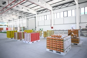 В Ферганской области нарастят экспорт фруктов и овощей до $500 млн