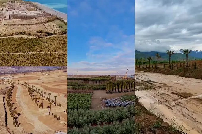 agalarov development, chorvoq, emin agalarov, palma, sea breeze uzbekistan