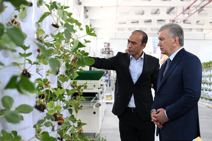 agrostar, сельское хозяйство, шавкат мирзиеев