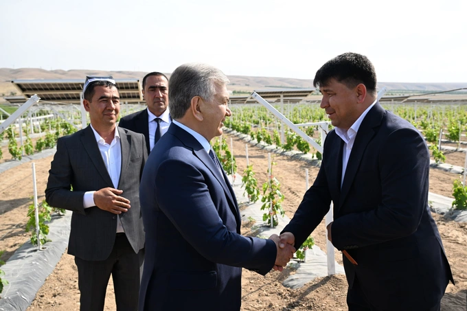 agrovoltaika, farg'ona, prezident, qishloq xo‘jaligi, quva, shavkat mirziyoyev