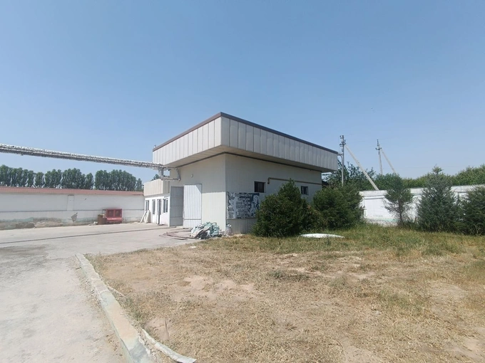 андижан, аукцион