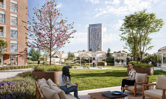 tashwell, реклама