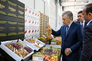 В Ферганской области на 50 тысячах га земли пройдет эксперимент с передовыми агротехнологиями