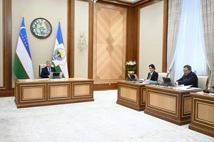 Скидка 50% и рассрочка на полгода: в Узбекистане предложили новый порядок уплаты штрафов