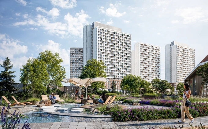 tashwell, реклама