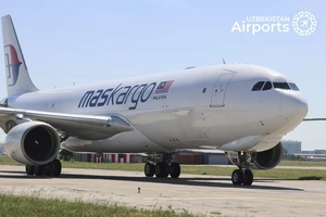 MASkargo Toshkent orqali muntazam yuk reyslarini yo‘lga qo‘ydi