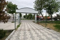 аукцион, сергели, ташкент, теплицы