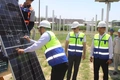 agrovoltaika, energetika vazirligi, voltalia