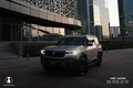 astana motors uzbekistan, denza, reklama